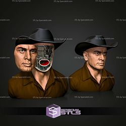 Basic STL Collection West World