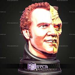 Basic STL Collection Wishmaster Display