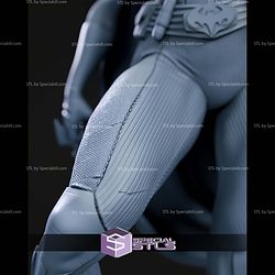 Batgirl Museum 374mm STL Files