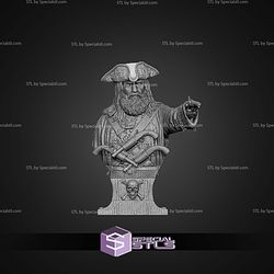 Black Beard Black Sails Bust STL Files
