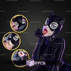 Catwoman The Queen Of Gotham Heists No AMS STL Files
