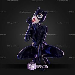 Catwoman The Queen Of Gotham Heists No AMS STL Files