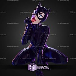 Catwoman The Queen Of Gotham Heists No AMS STL Files