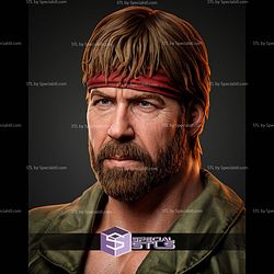 Chuck Norris Lone Wolf Bust 413mm STL Files