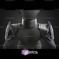 Cosplay Dora Milaje Armor Wakanda Forever STL Files