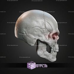 Cosplay STL Files MOTU Skeletor Hair