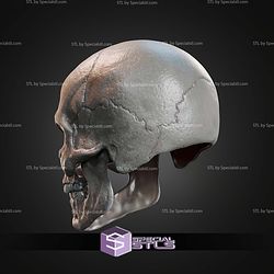 Cosplay STL Files MOTU Skeletor Hair