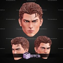 Custom Head STL Collection Spiderman Various