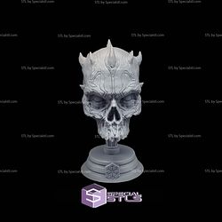 Darth Maul Skull Display STL Files