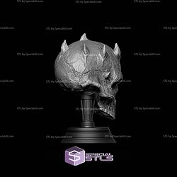 Darth Maul Skull Display STL Files
