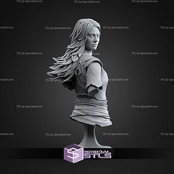 Faye God Of War Laufey Bust 110mm STL Files