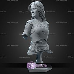 Faye God Of War Laufey Bust 110mm STL Files