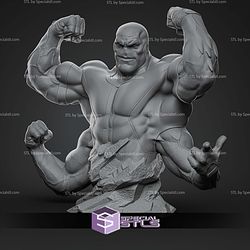 Four Arms Ben 10 Museum Bust STL Files