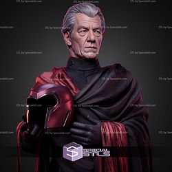 Magneto Ian Mckellen 434mm STL Files