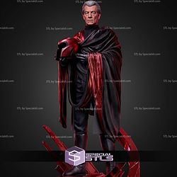 Magneto Ian Mckellen 434mm STL Files