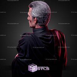 Magneto Ian Mckellen 434mm STL Files
