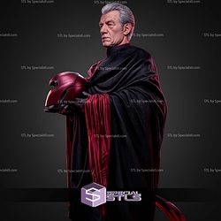 Magneto Ian Mckellen 434mm STL Files