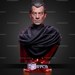 Magneto Ian Mckellen Portrait Bust 329mm STL Files