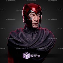 Magneto Ian Mckellen Portrait Bust 329mm STL Files