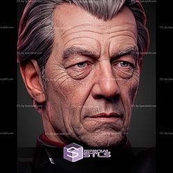 Magneto Ian Mckellen Portrait Bust 329mm STL Files