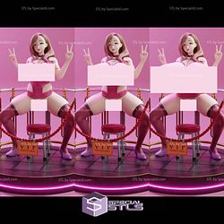 Midori VIP Area ALT STL Files