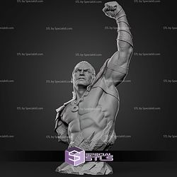 Namor From Ocean Bust STL Files