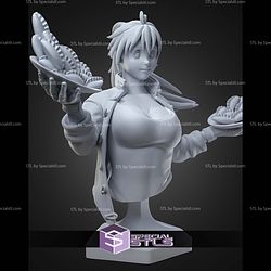Nikaido Dorohedoro Bust 100mm STL Files