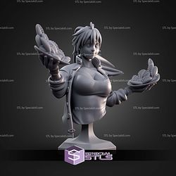 Nikaido Dorohedoro Bust 100mm STL Files