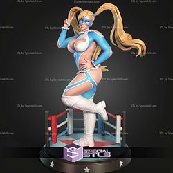 Rainbow Mika Street Fighter Smile STL Files