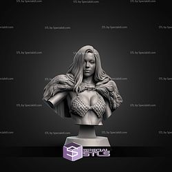 Red Sonja The Bargain Bust STL Files