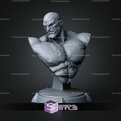 Sagat Kick Pose Buddha Base Bust 144mm STL Files