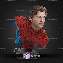 Spider Man Brand New Day Bust 117mm STL Files