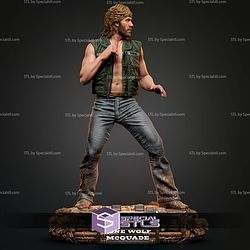 Chuck Norris Lone Wolf 350mm STL Files