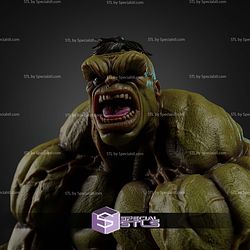 Comics Hulk Angry Muscle STL Files