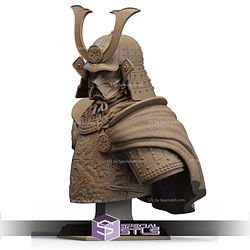 Darth Vader Samurai Detail Bust STL Files