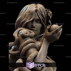 Eve Snake And Apple Bust Mythology STL Files