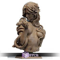 Eve Snake And Apple Bust Mythology STL Files