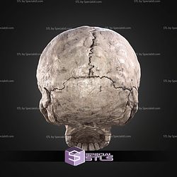 Halo Campaign Evolved Skulls STL Files