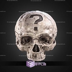 Halo Campaign Evolved Skulls STL Files