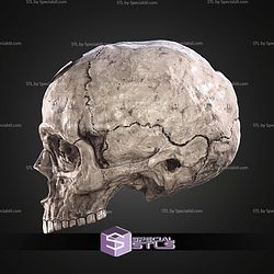 Halo Campaign Evolved Skulls STL Files