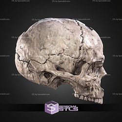 Halo Campaign Evolved Skulls STL Files