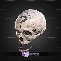 Halo Campaign Evolved Skulls STL Files