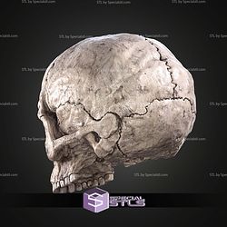 Halo Campaign Evolved Skulls STL Files