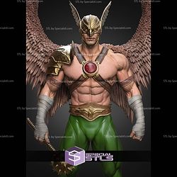 Hawkman Museum Pose 1 6 340mm STL Files