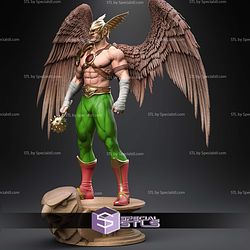 Hawkman Museum Pose 1 6 340mm STL Files