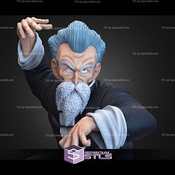 Jackie Chun Master Roshi Kungfu STL Files
