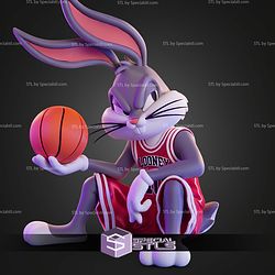 Looney Tunes X Chicago Bulls Trio Bug Bunny No AMS STL Files