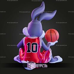 Looney Tunes X Chicago Bulls Trio Bug Bunny No AMS STL Files