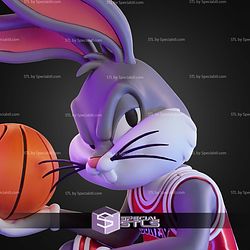 Looney Tunes X Chicago Bulls Trio Bug Bunny No AMS STL Files