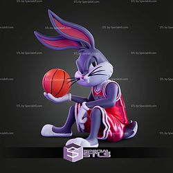 Looney Tunes X Chicago Bulls Trio Bug Bunny No AMS STL Files